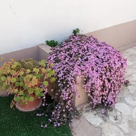 Dolce * Bitonto