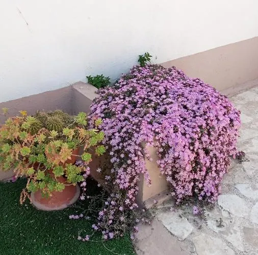 Dolce * Битонто